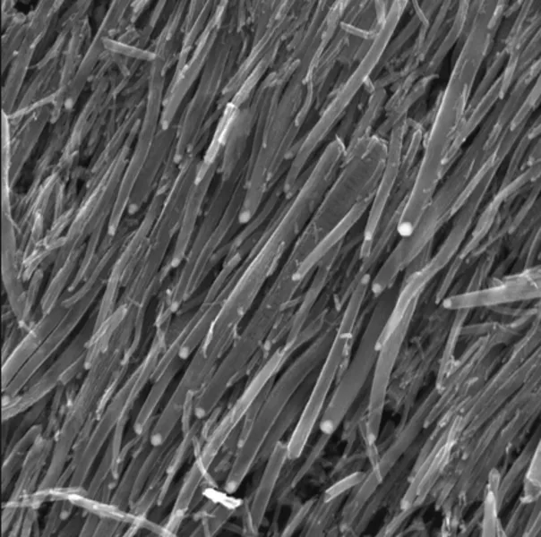 Battery Electrodes & Nanomaterials